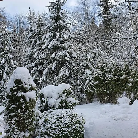 דירה Am Skihang Altastenberg 1 Km Zum Skikarusell