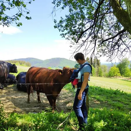 Am Astenkick Altastenberg 2,5 Km Zur Erlebniskappe Apartment *