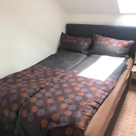 Apartamento Am Skihang Altastenberg 1 Km Zum Skikarusell