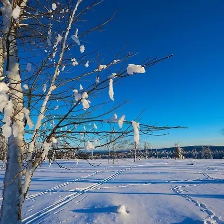 Apartamento Am Skihang Altastenberg 1 Km Zum Skikarusell *