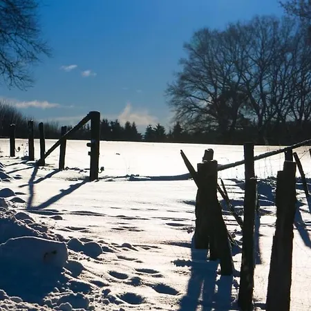 Apartamento Am Skihang Altastenberg 1 Km Zum Skikarusell Winterberg
