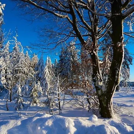 Am Skihang Altastenberg 1 Km Zum Skikarusell *