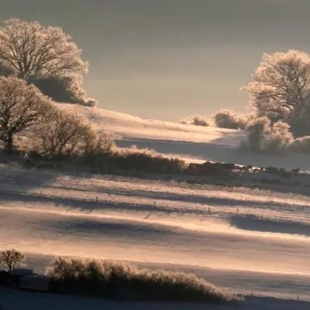 Am Skihang Altastenberg 1 Km Zum Skikarusell Apartamento Winterberg