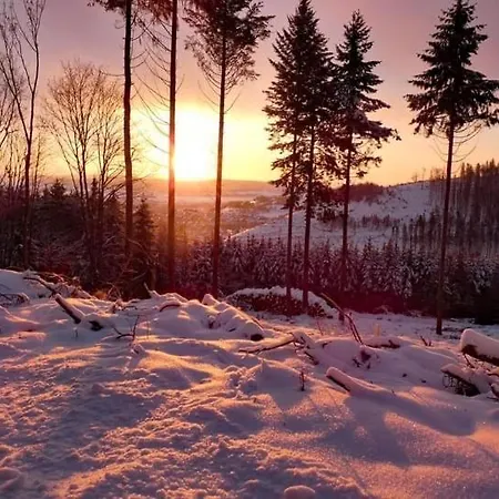 Am Skihang Altastenberg 1 Km Zum Skikarusell * Winterberg