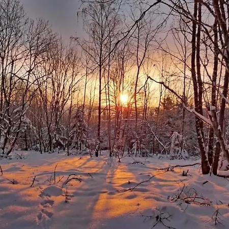Am Skihang Altastenberg 1 Km Zum Skikarusell * Winterberg
