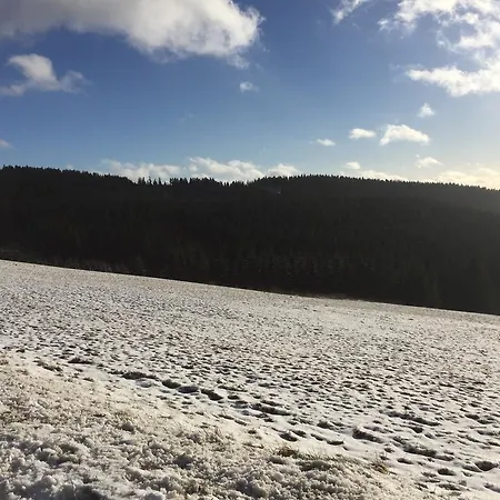 Am Skihang Altastenberg 1 Km Zum Skikarusell דירה *