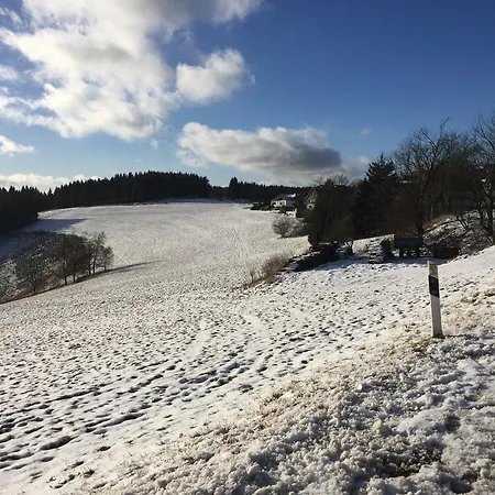 Am Skihang Altastenberg 1 Km Zum Skikarusell Apartamento