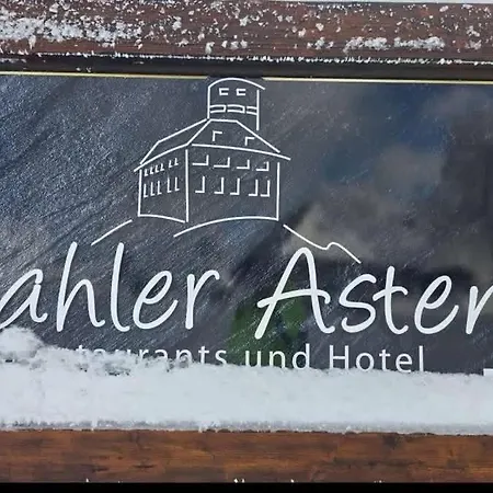 Am Skihang Altastenberg 1 Km Zum Skikarusell * ווינטרברג