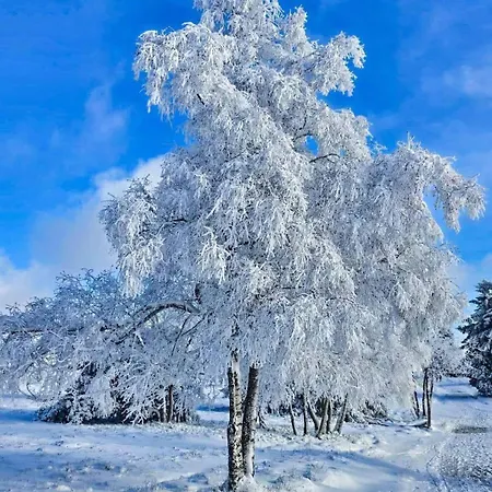 Am Skihang Altastenberg 1 Km Zum Skikarusell * ווינטרברג