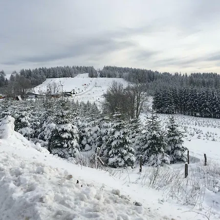 Apartamento Am Skihang Altastenberg 1 Km Zum Skikarusell