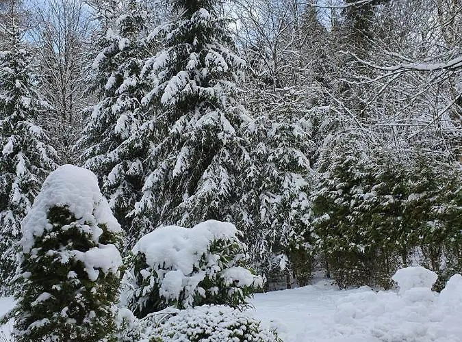 Διαμέρισμα Am Skihang Altastenberg 1 Km Zum Skikarusell
