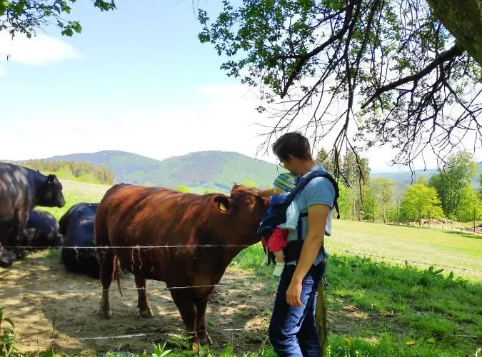 Am Skihang Altastenberg 1 Km Zum Skikarusell Διαμέρισμα *