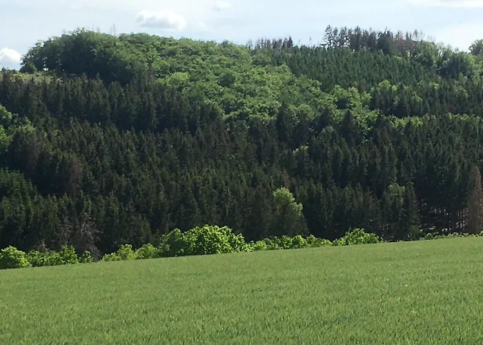 Am Skihang Altastenberg 1 Km Zum Skikarusell Βίντερμπεργκ