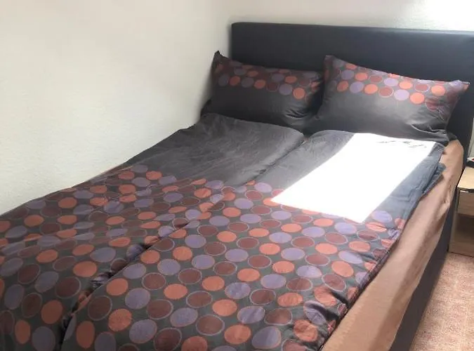 Apartamento Am Skihang Altastenberg 1 Km Zum Skikarusell