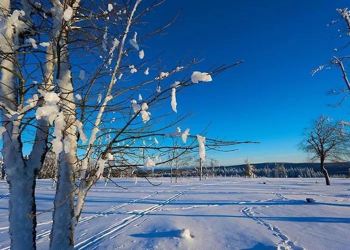 Apartamento Am Skihang Altastenberg 1 Km Zum Skikarusell *