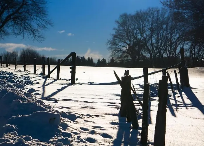Apartamento Am Skihang Altastenberg 1 Km Zum Skikarusell Winterberg