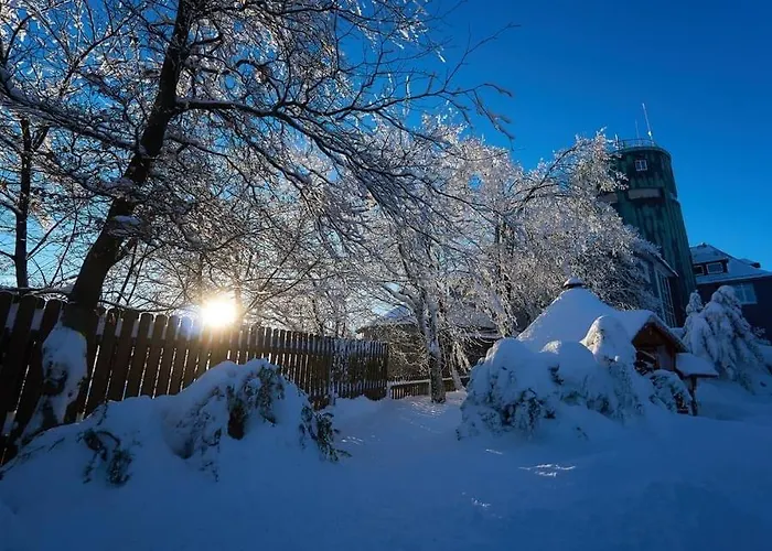 Διαμέρισμα Am Skihang Altastenberg 1 Km Zum Skikarusell Βίντερμπεργκ