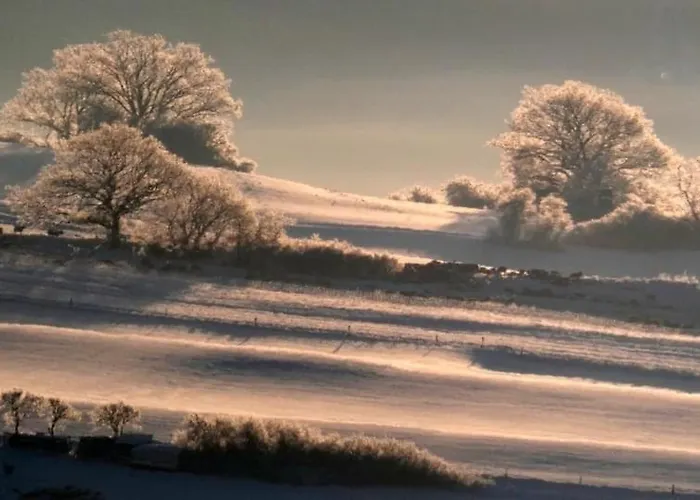 Am Skihang Altastenberg 1 Km Zum Skikarusell Διαμέρισμα Βίντερμπεργκ