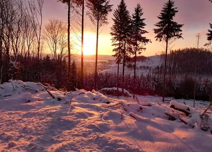 Am Skihang Altastenberg 1 Km Zum Skikarusell * Winterberg