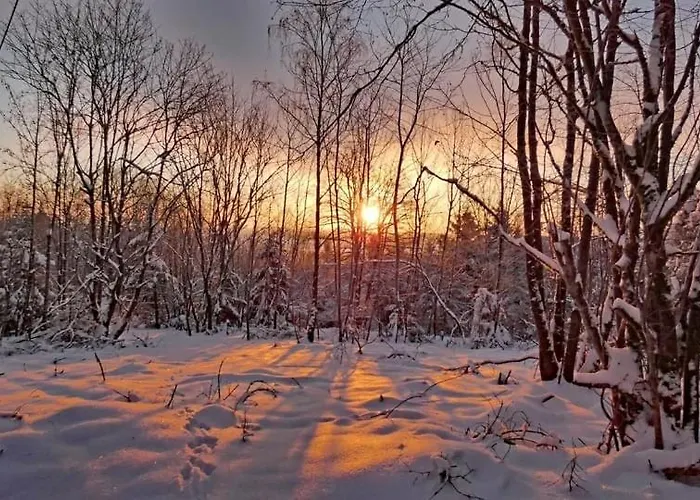 Am Skihang Altastenberg 1 Km Zum Skikarusell * Βίντερμπεργκ