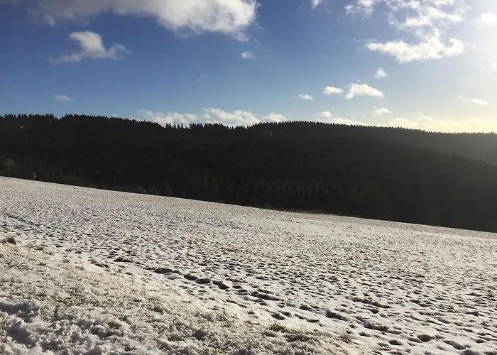 Am Skihang - Skicenter Lejlighed *