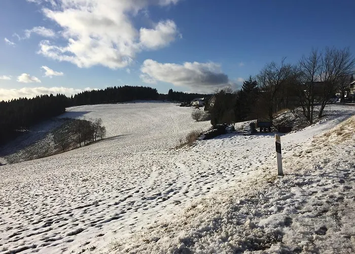 Am Skihang Altastenberg 1 Km Zum Skikarusell Apartamento