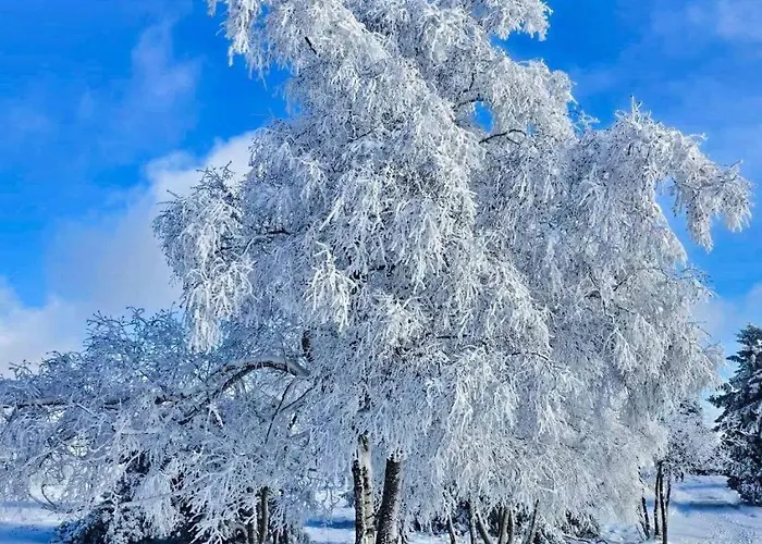 Am Skihang Altastenberg 1 Km Zum Skikarusell * Βίντερμπεργκ