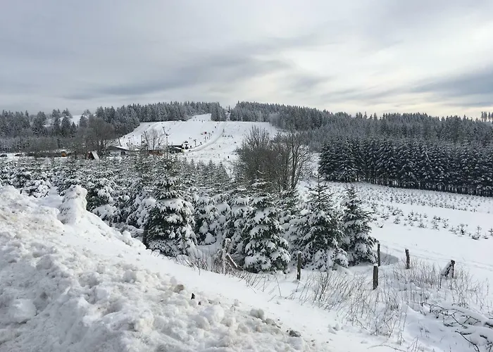 Διαμέρισμα Am Skihang Altastenberg 1 Km Zum Skikarusell